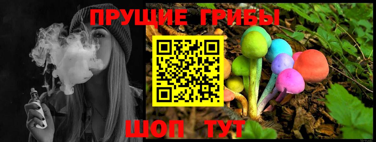 Псилоцибиновые грибы прущие грибы Кубинка